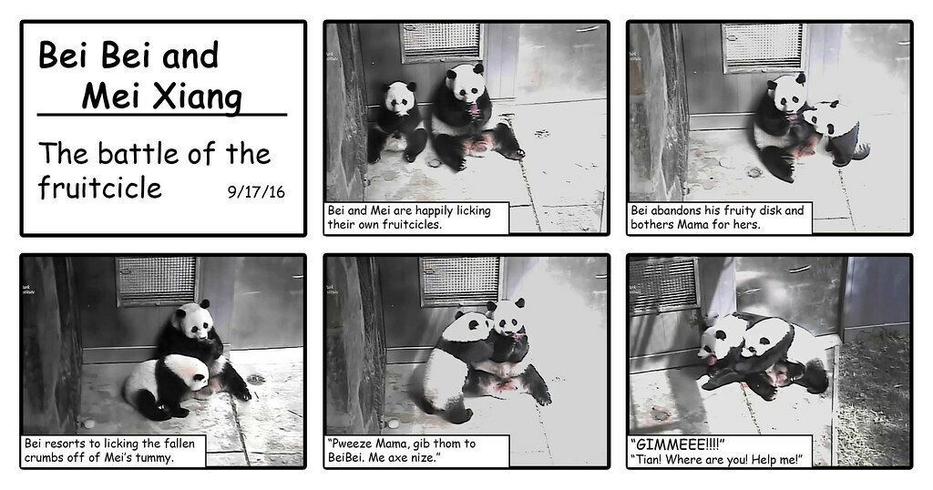 funny storyboard of pandas eating fruitcicles