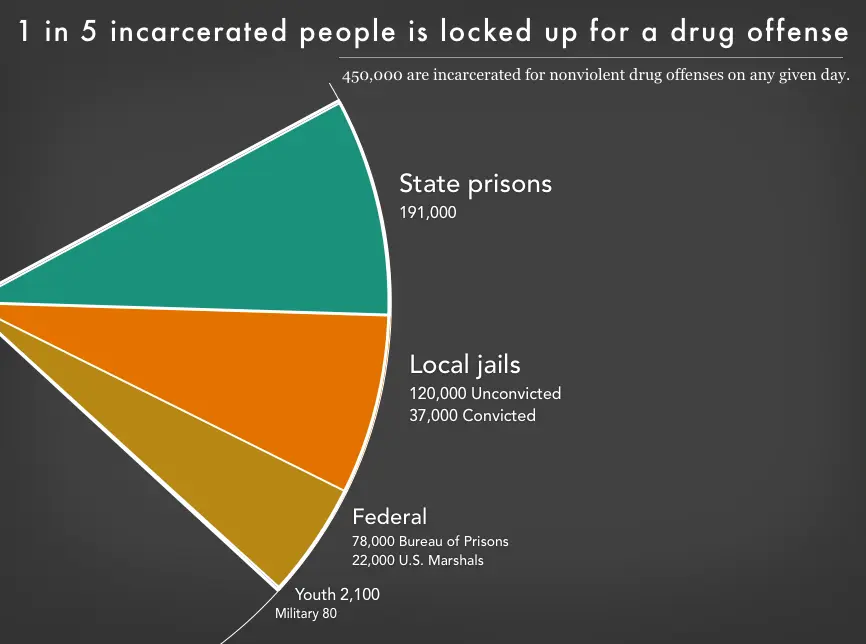 Chart with title 1 in 5 incarcerated people is locked up for a drug offense